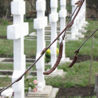 Из жизни обители