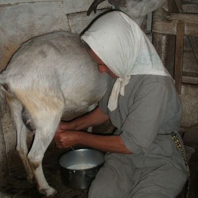 Из жизни обители